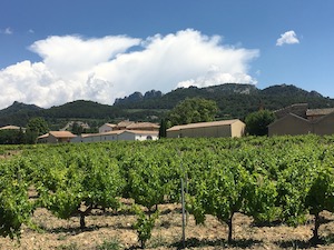 Gigondas 