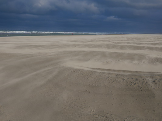 Plage ventée