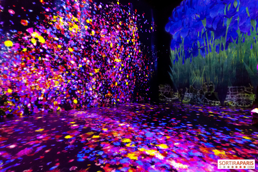 teamlab 2